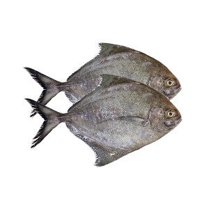 Black Pomfret (কালো চান্দা মাঝারি) -2pcs