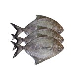 Black Pomfret (কালো চান্দা ছোট) -3pcs