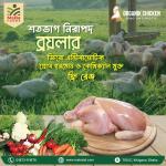 Broiler (ব্রয়লার) - সর্বনিম্ন অর্ডার ৫ পিস (প্রতি কেজি ৪৫০ টাকা)