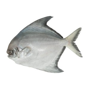 Chinese Pomfret (চাইনিজ চান্দা দেশি)-2 Pcs