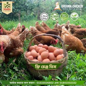 Free Range Egg (ফ্রি রেঞ্জ ডিম) - শুধু ডিম নিলে সর্বনিম্ন অর্ডার ৪ ডজন (প্রতি ডজন ২৪০ টাকা)