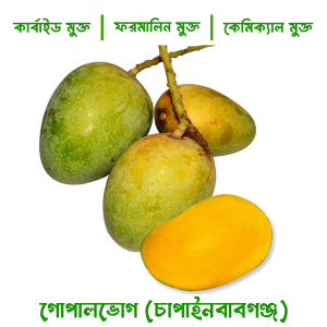 গোপাল ভোগ - চাঁপাইনবাবগঞ্জ