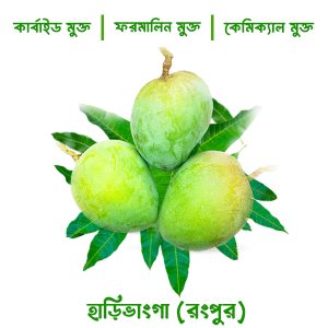 হাড়িভাংগা - রংপুর