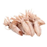 Squid (স্কুইড আস্তো) -40-50 Pcs