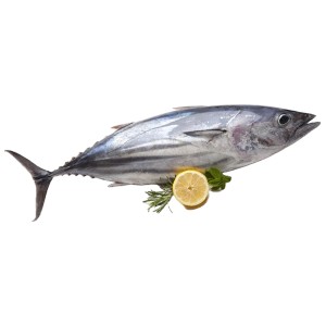 Tuna Fish - টুনা মাছ (৩-৪ কেজি)